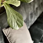 Apartmanhotel Boutique Rezidence Baar