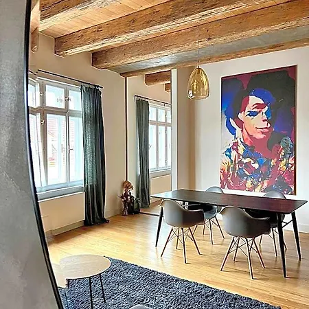公寓式酒店 Boutique Rezidence Baar Nový Jičín