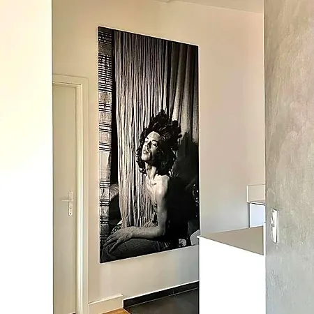 Boutique Rezidence Baar Lägenhetshotell Nový Jičín