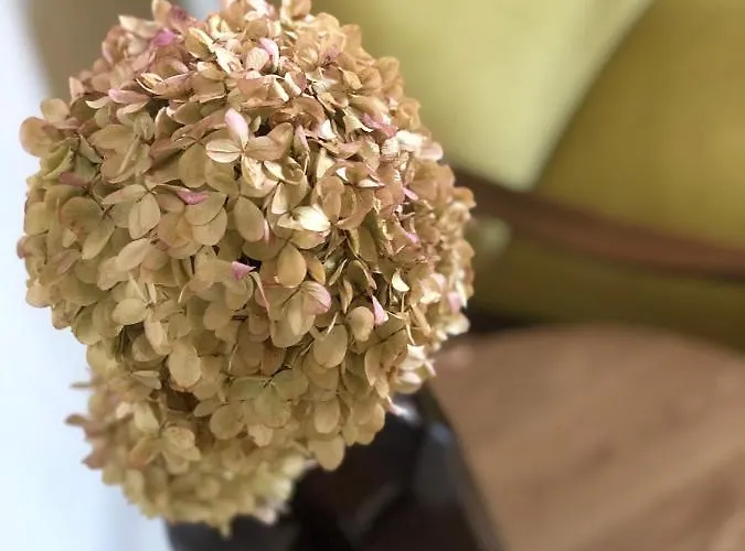 Boutique Rezidence Baar